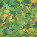 Bio-vit  11L /2kg - Зображення 3