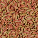 KOI CROISSANT Color 5L - Зображення 2