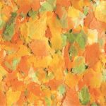 Pond Flakes   5L /0,8kg - Зображення 3