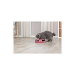 Іграшка Trixie Catch The Mouse для котів Трек ігровий з плюшевою мишкою пластик 25х6 см - Зображення 3