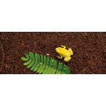 Субстрат ExoTerra для тераріумних тварин Plantation Soil 8,8 л - Зображення 2