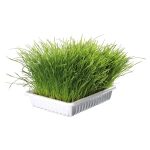 Трава Trixie Soft Grass для котів та кошенят контейнер пластик 100 г - Зображення 2
