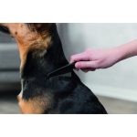 Гребінець Trixie для вичісування бліх та вошей металевий з пластиковою ручкою 15 см - Зображення 3