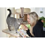 Ласощі GimCat м’ясні палички для котів з індичкою та кроликом 4 шт - Зображення 3