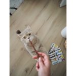 Ласощі GimCat м’ясні палички для котів з індичкою та кроликом 4 шт - Зображення 4