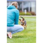 Іграшка Trixie для собак Куля з мотузкою натуральна гума 6 і 30 см - Зображення 4