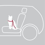 Пояс-шлея безопасности д/котов в авто 20-50см - Зображення 6