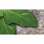 Наповнювач ExoTerra для змій Snake Bedding  8л - Зображення 2