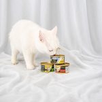 Корм вологий GimCat Shiny Cat для котів з тунцем та креветками в желе 70 г - Зображення 4