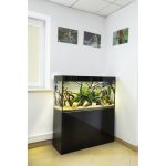 Акваріум Aquael Glossy 80 прямий чорний 125 л - Зображення 2