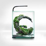 Акваріум Aquael Smart Day Night для креветок прямий білий 10 л - Зображення 2