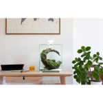 Акваріум Aquael Smart Day Night для креветок чорний прямий 30 л - Зображення 3