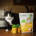 Корм сухий Profine Cat Original Adult для дорослих котів усіх порід з куркою та рисом 300 г - Зображення 6