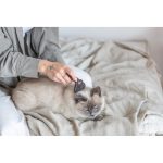 Гребінець-тример Trixie для собак для видалення підшерстя рожевий 7 см/ 15 см - Зображення 5