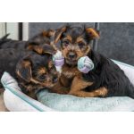 Іграшка Trixie Junior Rope Dumbbell для цуценят Гантель з канатом котон 15 см - Зображення 4