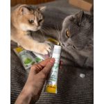 Вітаміни GimCat Expert Line Gastro Intestinal для котів паста для покращення травлення 50 г - Зображення 4