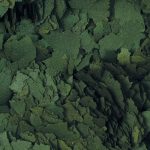 Super Spirulina Forte 36% 11L/2KG - Зображення 2