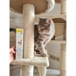 Вітаміни GimCat Expert Line Kitten для кошенят вітамінізована паста 50 г - Зображення 3