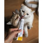 Вітаміни GimCat Expert Line Kitten для кошенят вітамінізована паста 50 г - Зображення 5