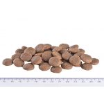 Корм сухий Brit Grain Free VetDiet Dog Gastrointestinal для дорослих собак при порушенні травлення з оселедцем лососем та горохом 2 кг - Зображення 5