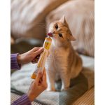 Вітаміни GimCat Every Day мультивітамінна паста для котів для покращення імунітета 200 г - Зображення 5