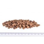 Корм сухий Brit Grain Free VetDiet Cat Obesity для котів з зайвою вагою та ожирінням з куркою та горохом 400 г - Зображення 4