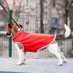 Жилет Pet Fashion Fleecy для собак червоний/сірий М - Зображення 2