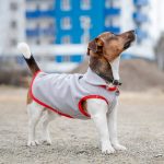 Жилет Pet Fashion Fleecy для собак сірий/червоний М - Зображення 4