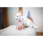 Корм вологий Brit Care Fillets in Gravy Tender Turkey and Savory Salmon д/котів філе в соусі з індичкою та лососем 85 г - Зображення 4