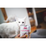 Корм вологий Brit Care Fillets in Gravy Savory Salmon д/котів філе в соусі з пікантним лососем 85 г - Зображення 3
