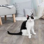 Мильні бульбашки Trixie для котів з котячою м ятою 120 мл - Зображення 3