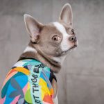 Борцовка  COOL   S - Зображення 4