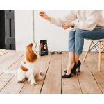 Корм сухий Savory Puppy rich in Fresh Turkey and Chicken для цуценят всіх порід зі свіжою індичкою і куркою 1 кг - Зображення 5