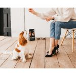 Корм сухий Savory Puppy rich in Fresh Turkey and Chicken для цуценят всіх порід зі свіжою індичкою і куркою 3 кг - Зображення 5