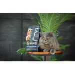 Корм сухий Savory Adult Cat Gourmand Fresh Salmon and White Fish для дорослих котів зі свіжим лососем і білою рибою 400 г - Зображення 4