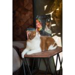Корм сухий Savory Adult Cat Sensitive Digestion Fresh Lamb and Turkey для дорослих котів з чутливим травленням зі свіжою ягнятиною та індичкою 400 г - Зображення 5