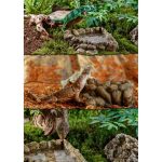 Поїлка ExoTerra для рептилій кутова середня 100 мл - Зображення 2