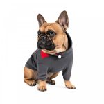 Худі Pet Fashion Snoodie для собак сіра S - Зображення 3