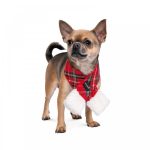 Шарф Pet Fashion Happy для собак M-XL - Зображення 2