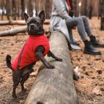 Жилет Pet Fashion E.Vest для собак червоний М2 - Зображення 4