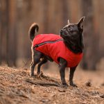 Жилет Pet Fashion E.Vest для собак червоний XS - Зображення 3