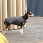 Жилет Pet Fashion E.Vest для собак сірий XL - Зображення 3