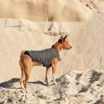 Жилет Pet Fashion E.Vest для собак сірий М2 - Зображення 5