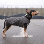Жилет Pet Fashion E.Vest для собак сірий М2 - Зображення 6