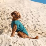 Жилет Pet Fashion E.Vest для собак морська хвиля XL - Зображення 5