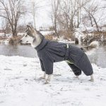Комбінезон Pet Fashion Cold для собак сірий 4XL - Зображення 5