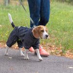 Комбінезон Pet Fashion RAIN для собак сірий 2XL - Зображення 4