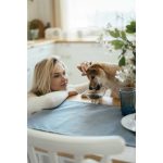 Хрусткі ласощі Savory Puppies Lamb and Sea Buckthorn для цуценят усіх порід для здорового росту з ягням та обліпихою 200 г - Зображення 4