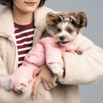 Костюм Pet Fashion Judy для собак пудровий M - Зображення 3
