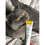 Вітаміни GimCat Expert Line UT Balance для котів паста для нирок та сечовивідних шляхів 50 г - Зображення 5